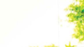 Se trata de un hermosos Chevrolet Bel Air 1955, aunque usuarios de las redes corrigen que es un modelo del 56 debido a los detalles en su parrilla