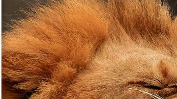 La familia de la chica dicen estar tranquilos pues murió haciendo lo que más le gustaba.