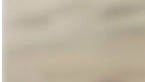 El pastor pidió ayuda pero nada pudieron hacer para salvarlo.