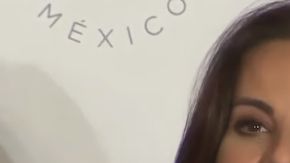 Del Castillo catalogó de injusto el proceso en su contra.