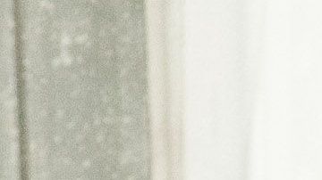 Su hermoso color azul eléctrico resalta en las calles de Sinaloa