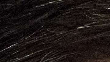 James Comey fue despedido del FBI por el presidente Trump.