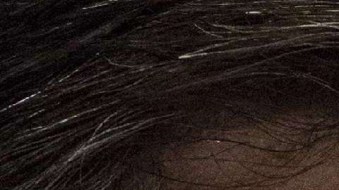 James Comey fue despedido del FBI por el presidente Trump.