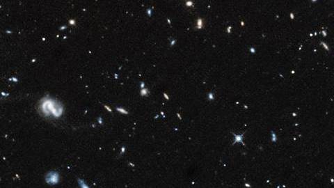 Un campo de galaxias en la constelación Pegaso, captado por Hubble..