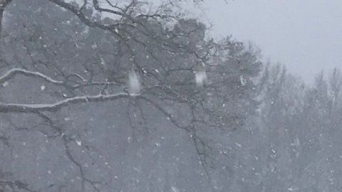 La tormenta Diego arrojó más de 10 pulgadas de nieve.