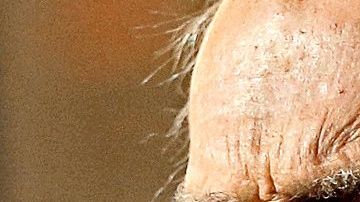 Clint Eastwood estrena película.