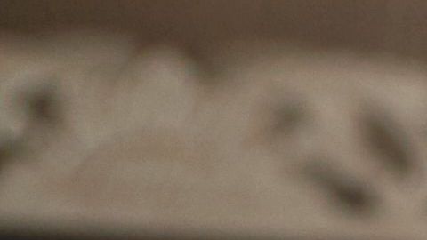 El 54% de los estadounidenses sufren de momentos de ansiedad por el dinero./Shutterstock