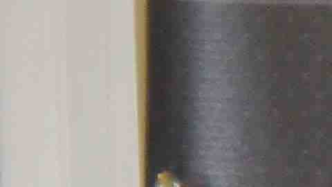 La Liga San Francisco Infantil premió a sus nuevos campeones. (Javier Quiroz / La Raza)