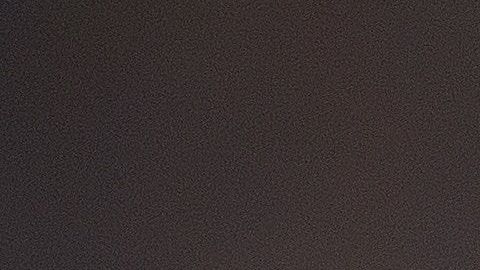 ¿Probarías la leche de araña?