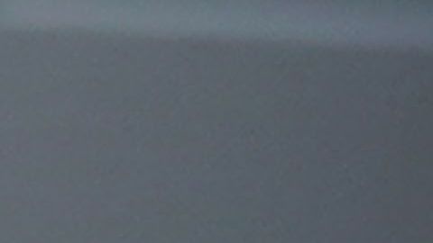 El vicepresidente Pence tendría un papel clave para el mandatario.