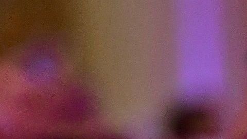 El príncipe Mohammed bin Salman ha cultivado su amistad con Jared Kushner.