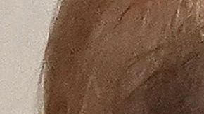 La pareja presidencial luce muy elegante.