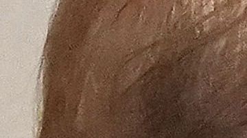 La pareja presidencial luce muy elegante.