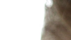 El presidente Trump quiere $5,000 millones de dólares.