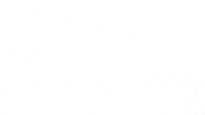 Nauert deberá someterse a un proceso de confirmación en el Senado