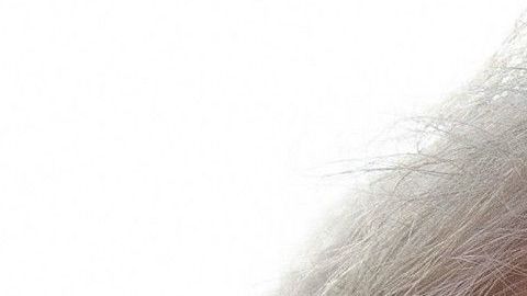 Nauert deberá someterse a un proceso de confirmación en el Senado