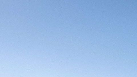 El 25 de  noviembre, la Patrulla Fronteriza lanzó gases a un grupo de inmigrantes que intentó cruzar la frontera.