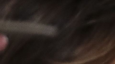 La pareja presidencial pasará la Navidad en Florida.