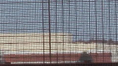 1,100 de los detenidos son menores de edad