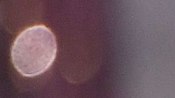 Vanessa Ponce de León es  Miss Mundo 2018.