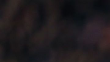 Javier "Chicharito" Hernández