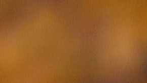 Las parejas se reunieron en la Casa Blanca.