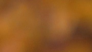 Las parejas se reunieron en la Casa Blanca.