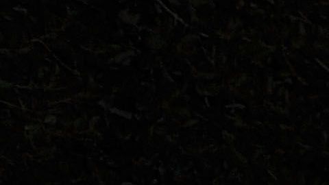 Paris Hilton en su Ferrari California