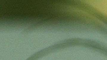 Bush y su esposa murieron con siete meses de distancia