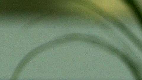 Bush y su esposa murieron con siete meses de distancia