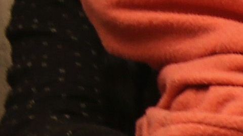 Familias completas huyen de la violencia en Centroamérica.