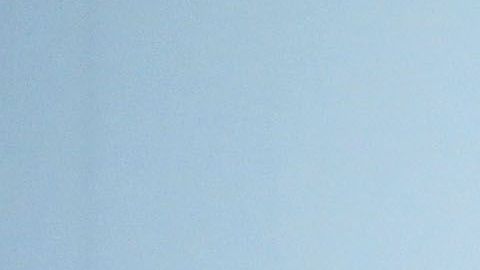 Michelle Obama dice que a ella no le gusta la política.