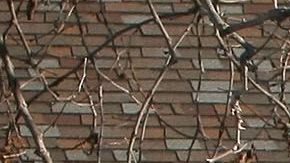 Las autoridades alertan por robos a carteros a punta de pistola en toda la ciudad de Chicago.