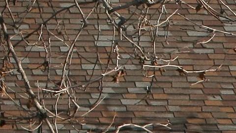 Las autoridades alertan por robos a carteros a punta de pistola en toda la ciudad de Chicago.