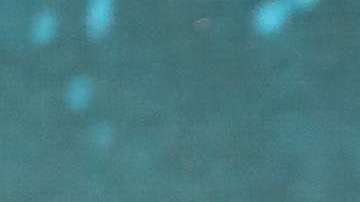 Jason Momoa es "Aquaman".