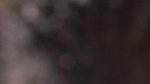 El Gobierno federal busca reforzar la Patrulla Fronteriza.