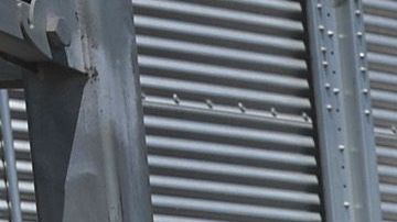 Los demócratas piden reforzar seguridad laboral en el sector agrícola.