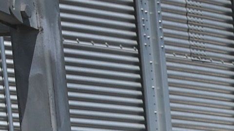 Los demócratas piden reforzar seguridad laboral en el sector agrícola.