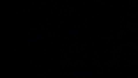 Musk se ha visto envuelto en varias polémicas durante los últimos meses a causa de su comportamiento. Joshua Lott/Getty Images