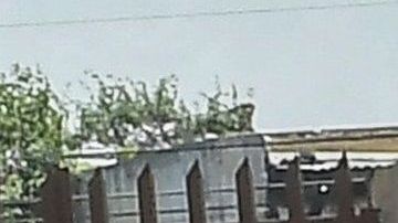 Las monjas fueron separadas de sus cargos administrativos.