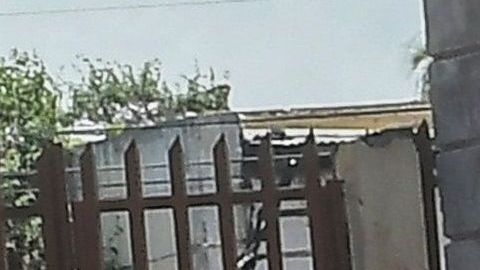 Las monjas fueron separadas de sus cargos administrativos.