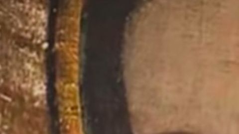 La Virgen de Guadalupe