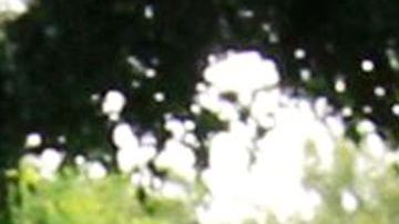 Benito Cerati, hijo de Gustavo Cerati