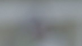 Alexis Vega llega a Chivas para el torneo Clausura 2018