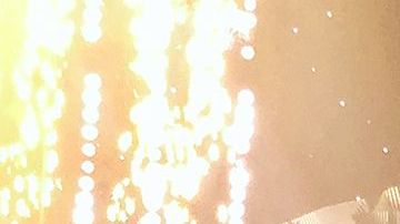 Migbelis Castellanos