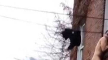 Se desconocen dónde fueron grabadas las imágenes.