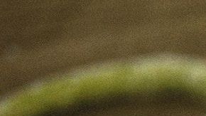 La pasta es uno de los carbohidratos más populares.