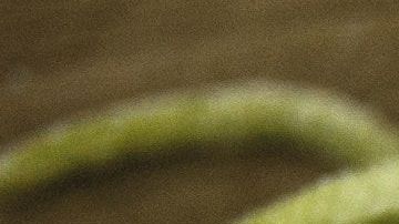 La pasta es uno de los carbohidratos más populares.