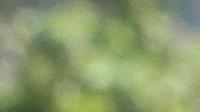 James se propuso investigar las transacciones comerciales de la familia Trump.