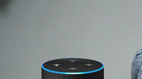 El loro habló con Alexa